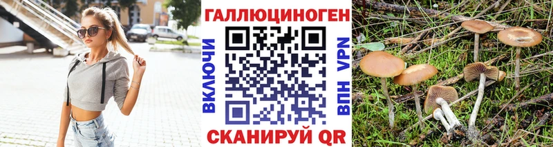 Псилоцибиновые грибы MAGIC MUSHROOMS Руза
